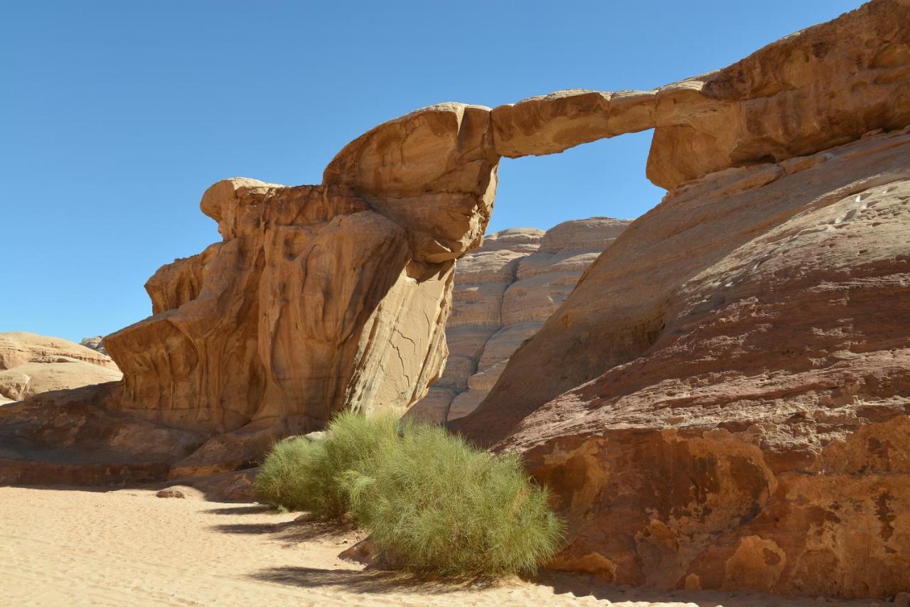 Obeid'S Bedouin Life Camp Hotel Wadi Rum Ngoại thất bức ảnh